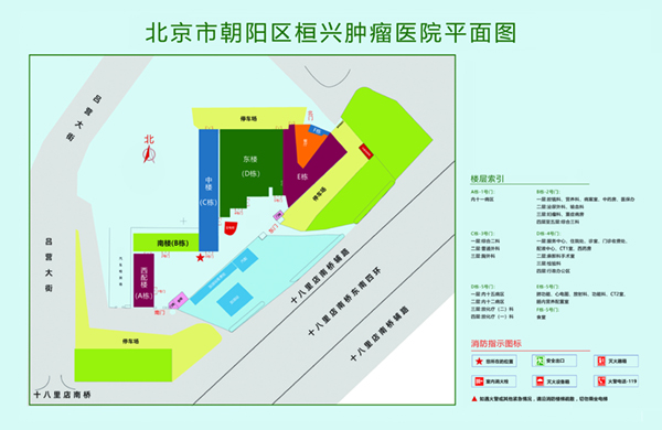 A鸡巴在线北京市朝阳区桓兴肿瘤医院平面图